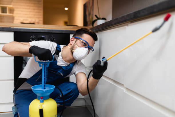 Best Bed Bug Extermination  in Burnham, IL