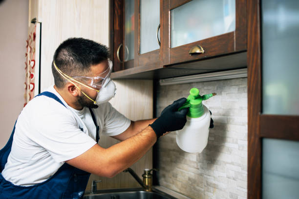Best Pest Prevention Services  in Burnham, IL