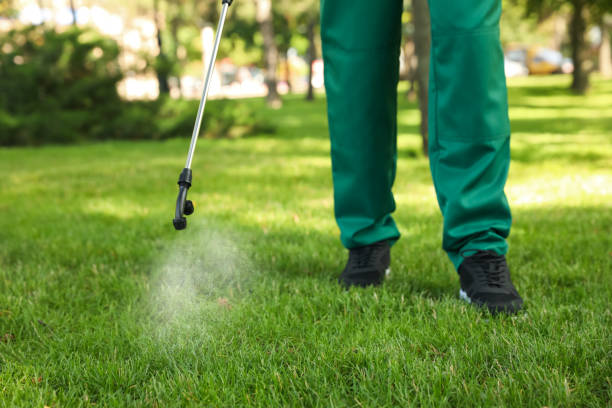 Best Ant Control Services  in Burnham, IL