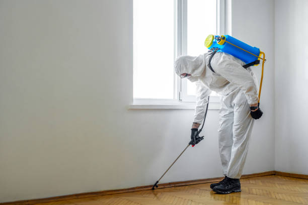 Best Pest Removal Services  in Burnham, IL