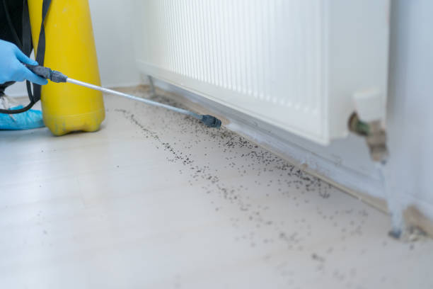 Best Commercial Pest Control Services  in Burnham, IL