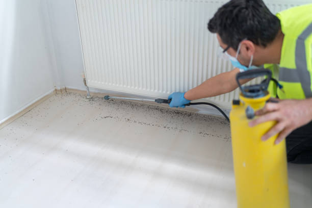 Best Affordable Pest Control Services  in Burnham, IL